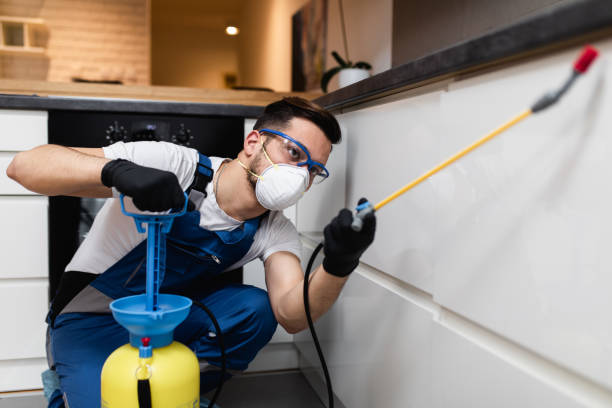 Best Mosquito Control Services  in Republic, WA