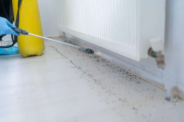 Best Residential Pest Control  in Republic, WA